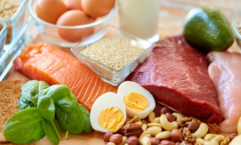 proteins for weight loss